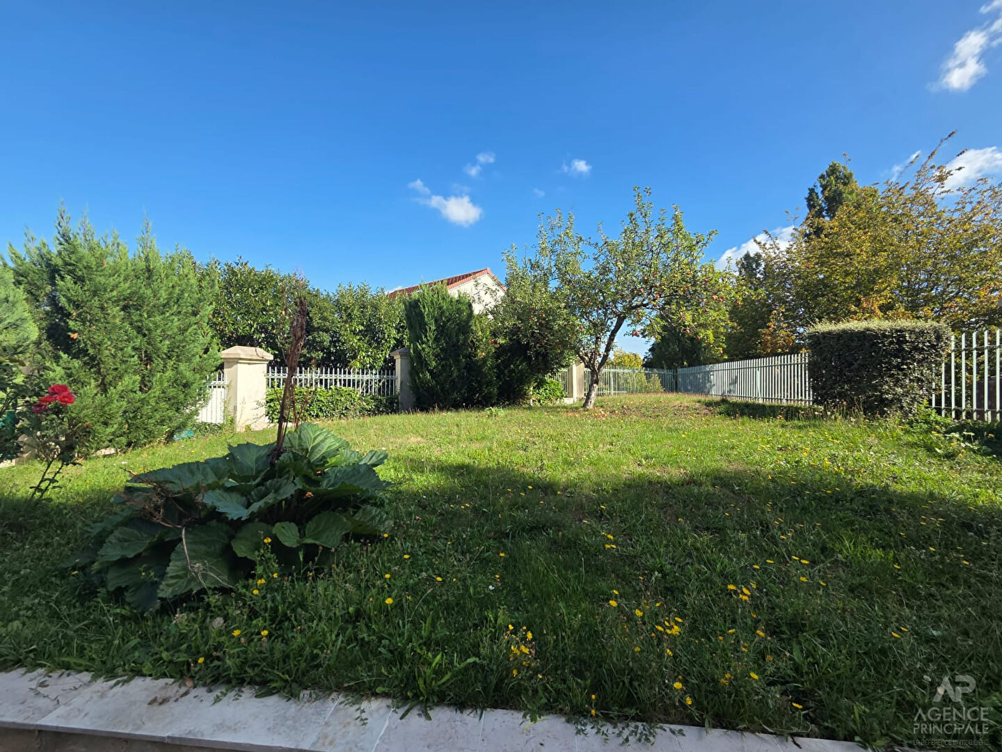 Property view 2
