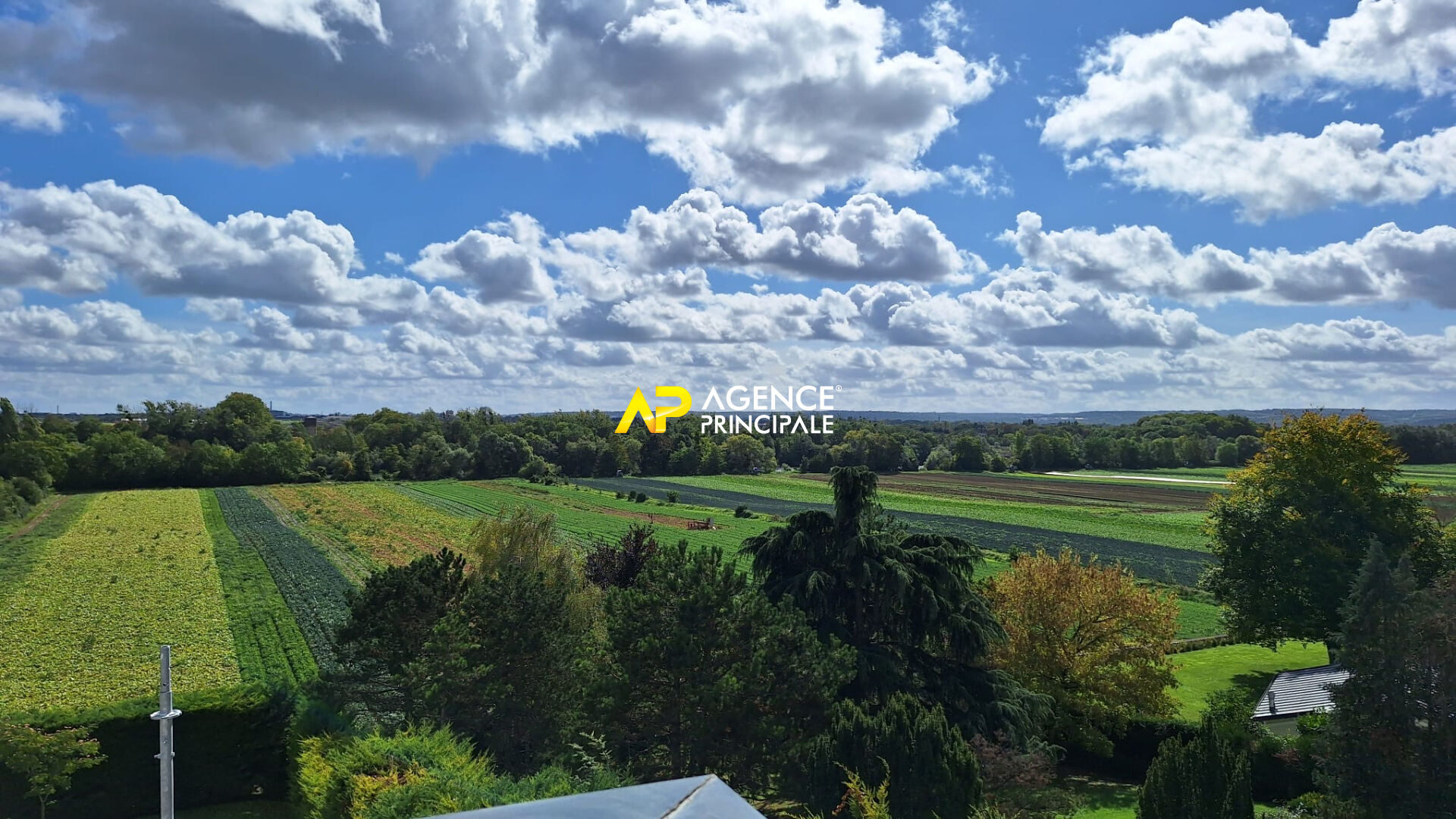 Property view 2